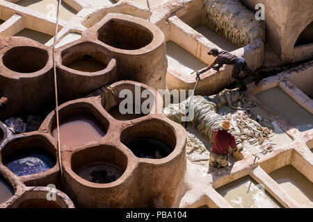 Fez, Marokko - November 12, 2017: Arbeiter in einer Gerberei arbeiten an traditionellen Färbung aus Leder aus tierischer Haut Stockfoto