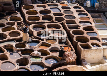 Fez, Marokko - November 12, 2017: Arbeiter in einer Gerberei arbeiten an traditionellen Färbung aus Leder aus tierischer Haut Stockfoto