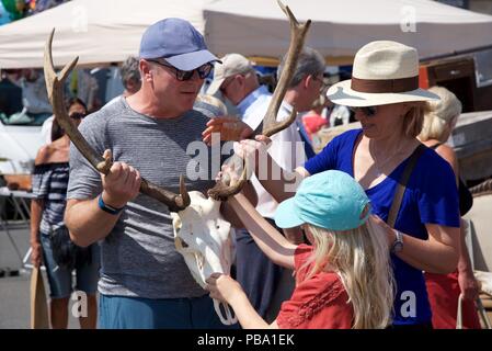Französische Brocante: einer britischen Familie kaufen ein Reh Schädel an einem Brocante in Montreuil-sur-Mer, Nordfrankreich an einem heißen Sommertag. Stockfoto