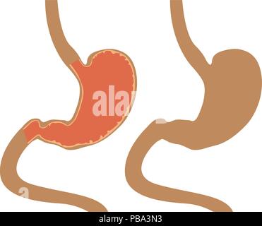 Menschlichen magen Symbol auf weißem Hintergrund Stock Vektor