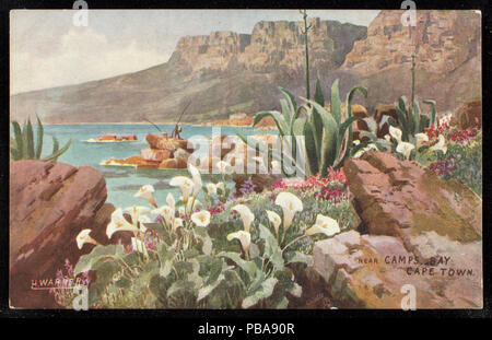 1085 in der Nähe von Camps Bay, Kapstadt. (NBY 440136) Stockfoto