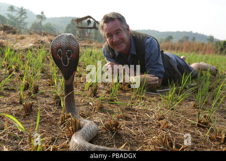 Moderator Nigel Marven mit brillenbär Kobra (Naja naja) in einem Reisfeld, Indien. November 2015. Model Released. Stockfoto