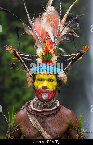 Chief Timon Tumbu Huli Wigman in traditionellen/zeremonielle Kleid mit Federn von Vögeln, Paradies, Papageien und fledermauspapageien. Tari Tal, Papua Neu Guinea. Stockfoto