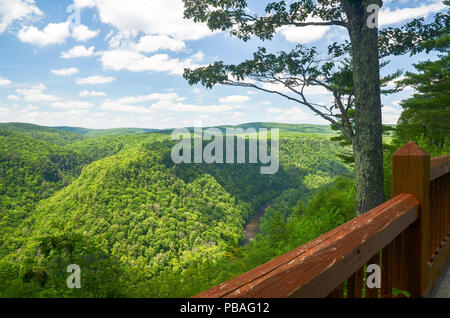 Pine Creek Gorge, auch der Grand Canyon von Pennsylvania. Ein 47 Kilometer langer, 1000 Fuß tiefe Schlucht windet sich durch North-central Pennsylvania. Stockfoto