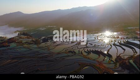 Antenne morgen Szene der mit Wasser gefüllte Reisterrassen und Reflexionen der Sonne auf der Wasseroberfläche. UNESCO-Weltkulturerbe, Yuanyang, Yunnan. Stockfoto
