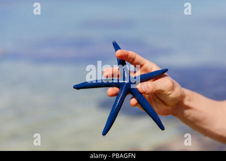 Hand mit einem blauen Start in ein Riff Stockfoto