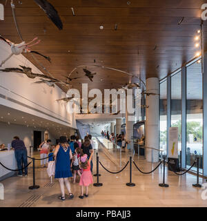 Israel, Ramat Aviv - vom 20. Juli 2018: Steinhardt, Museum der Naturgeschichte, Universität Tel Aviv, Stockfoto