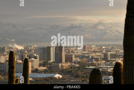 Schnee bedeckt die Santa Catalina Mountains nördlich von Tucson, Arizona, USA, in der Sonora Wüste, als von einem Berg gesehen. Stockfoto