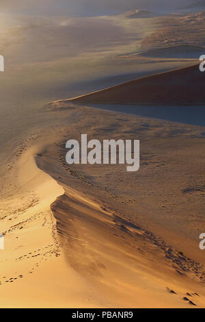 Blick vom Gipfel der Düne 45 kurz nach Sonnenaufgang, Namib-Naukluft-Nationalpark, Namibia. Stockfoto