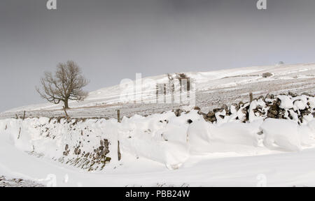 Schneeverwehungen auf der Rückseite der Dystone Wände gebildet, nachdem ein Schneesturm in den Yorkshire Dales, UK. Stockfoto