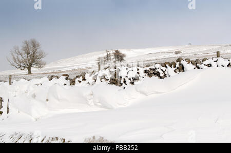 Schneeverwehungen auf der Rückseite der Dystone Wände gebildet, nachdem ein Schneesturm in den Yorkshire Dales, UK. Stockfoto