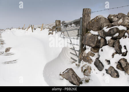 Schneeverwehungen auf der Rückseite der Dystone Wände gebildet, nachdem ein Schneesturm in den Yorkshire Dales, UK. Stockfoto