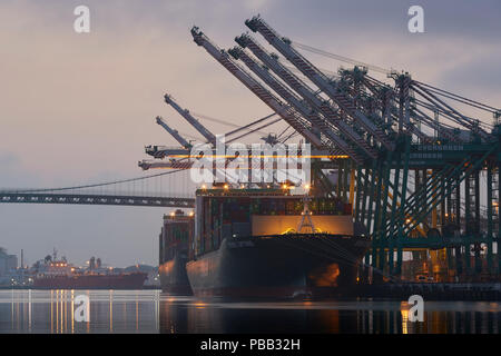 Die riesigen EVERGREEN Container schiff, immer Heben entladen Am EVERPORT Container Terminal im Hafen von Los Angeles bei Sonnenaufgang. Kalifornien, USA. Stockfoto