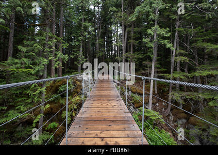 Eine kleine hölzerne Hängebrücke in British Columbia, Kanada, in der Mitte eines Waldes. Stockfoto