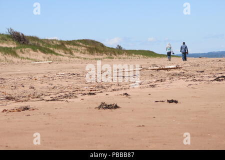 Ein paar Schritte entfernt in den Abstand entlang der sandigen Küste in Stanhope Beach, Prince Edward Island, an einem sonnigen Tag im Juni. Stockfoto