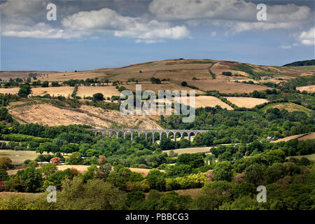 Cynghordy Viadukt, zwischen Llandovery und Llanwrtyd Wells, der die Herzen von Wales Bahnstrecke. Wales, Großbritannien Stockfoto