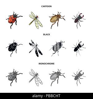 Gliederfüßer Insekten Marienkäfer, Libelle, Käfer, Colorado Käfer Insekten set Sammlung Icons im Cartoon, schwarz, Schwarzweiß-Stil vektor Symbol lieferbar isom Stock Vektor