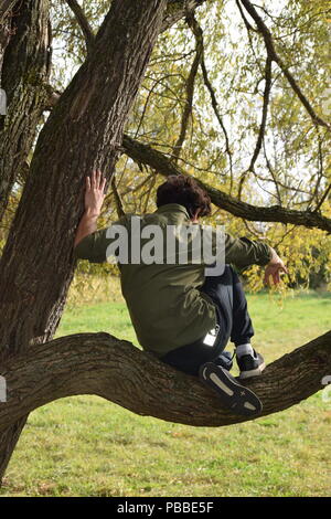 Junge hoch oben in einem Baum im Oktober Stockfoto