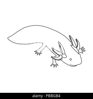 Mexikanische axolotl Symbol in der gliederungsansicht Stil auf weißem Hintergrund. Mexiko Land symbol Vektor Illustration. Stock Vektor