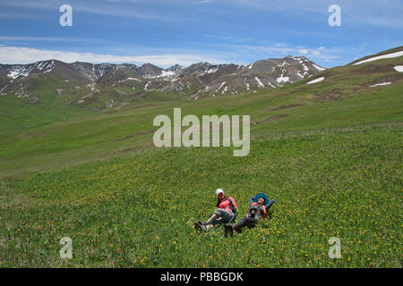 Genießen Sie Felder von Wildblumen auf dem alpinen Keskenkija Trek, Jyrgalan, Kirgisistan Stockfoto