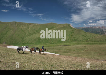 Pferdetrekking die alpine Keskenkija Trek, Jyrgalan, Kirgisistan Stockfoto