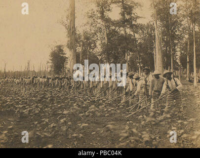 1168 Parchman Gefängnisarbeit überführen 1911 Stockfoto