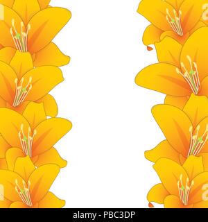 Lilium Candidum, die Madonnenlilie oder Orange Lilie Grenze. Vector Illustration. Stock Vektor