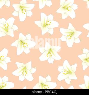 Lilium Candidum, die Madonnenlilie oder weiße Lilie auf Orange Peach Hintergrund. Vector Illustration. Stock Vektor