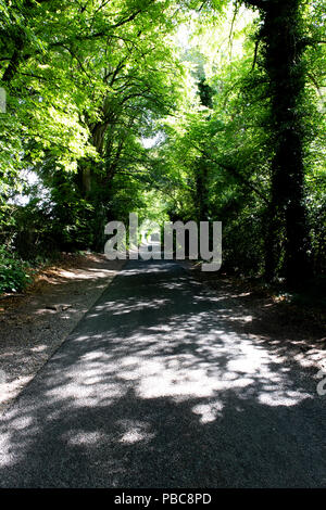 Von Bäumen gesäumten Single Lane country lane mit Sommer Sonne durch die Baumkronen shining dappled Stockfoto