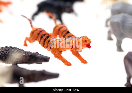 Toy Tiger aus einem Jahrgang die Arche Noah Spiel eingestellt, auf weißem Hintergrund fotografiert. Stockfoto