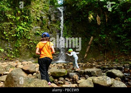 Silber fällt, fällt Nandroya Schaltung, Atherton Tablelands, QLD, Australien Stockfoto