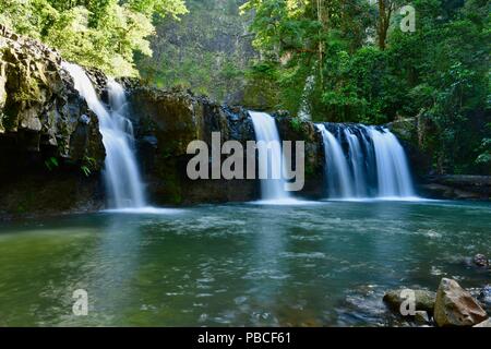 Stromkreis Nandroya fällt, Atherton Tablelands, QLD, Australien Stockfoto