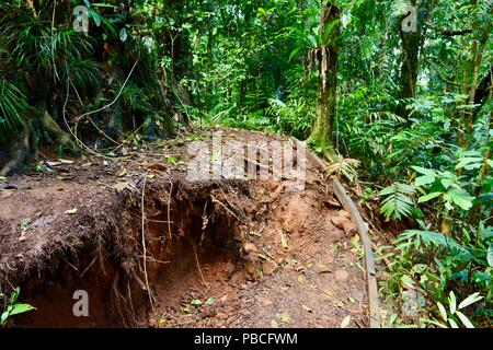 Stromkreis Nandroya fällt, Atherton Tablelands, QLD, Australien Stockfoto