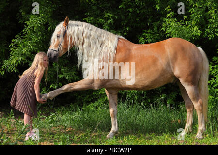 Michurinsk, Russland, 24. Mai 2018: Kind Mädchen und Tiroler Haflinger auf der offiziellen Generalprobe des Mitschurin landwirtschaftliche Ausstellung Stockfoto