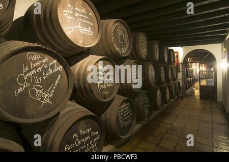 Campos Keller, Cordoba, Andalusien, Spanien, Europa. Stockfoto