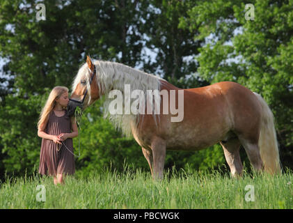 Michurinsk, Russland, 24. Mai 2018: Kind Mädchen und Tiroler Haflinger auf der offiziellen Generalprobe des Mitschurin landwirtschaftliche Ausstellung Stockfoto