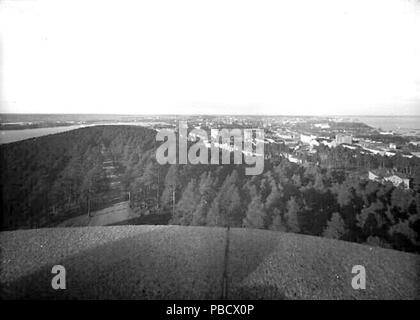 1238 Pyynikin harjua ja metsää näkötornista Stockfoto