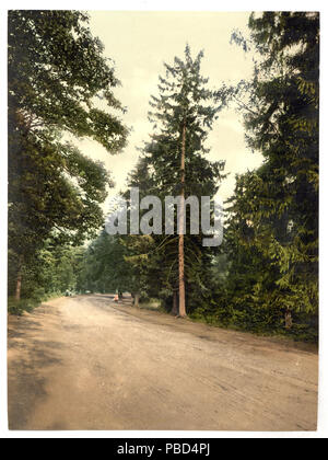 . Royal Military College, ein Favorit, Sandhurst, Camberley, England. Drucken Art.Nr. "10884'.; mehr Informationen über die Photochrom Print Collection an Http://hdl.loc.gov/loc.pnp/pp.pgz; Titel von den Detroit Publishing Co. verfügbar ist, Katalog J - Ausland abschnitt, Detroit, Mich.: Detroit Publishing Company, 1905.; Teil: Blick auf den Britischen Inseln, in der Photochrom print Collection.. Zwischen 1890 und 1900 1274 Royal Military College, ein Favorit, Sandhurst, Camberley, England - LCCN 2002696441 Stockfoto