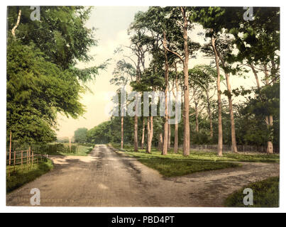 1274 Royal Military College, ein Favorit, Sandhurst, Camberley, England - LCCN 2002696440 Stockfoto