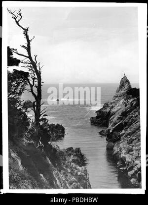 . Englisch: Malerische Aussicht auf Cypress Point in Pacific Grove, Monterey, Ca.1900 Foto von einem malerischen Blick auf Cypress Point in Pacific Grove, Monterey, Ca. 1900. Eine scraggley Baum klammert sich an der Seite der Klippe auf der linken Seite. Eine Person steht auf den Punkt in der Ferne. Wellen brechen auf einem Felsvorsprung im Ozean. Rufnummer: CHS-286 Dateiname: CHS-286 Abdeckung Datum: ca. 1900 Teil der Sammlung: California Historical Society Collection, 1860-1960 Format: Glasplatte negative Art: Bilder geographische Themen (Stadt oder besiedelte Ort): Pacific Grove, Monterey Repository Name: US Stockfoto