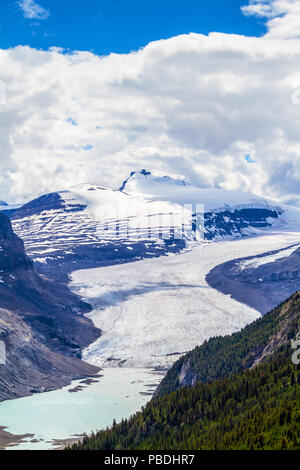 Fegen Vista von Saskatchewan Gletscher fließt von der Columbia Icefields wie aus dem Wappen von Parker Ridge auf dem Icefields Parkway in Jasper N gesehen Stockfoto