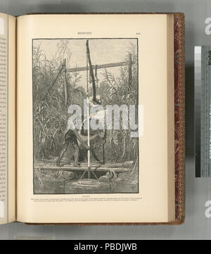 1311 Shadûf. Das Gewicht des Wassers im Eimer wird von den Klumpen Nil Schlamm am anderen Ende des schwingenden Strahl ausgeglichen, und das Wasser ist so bis zur Mündung des Kanals mit wenig (Nypl b 10607452-80835) Stockfoto