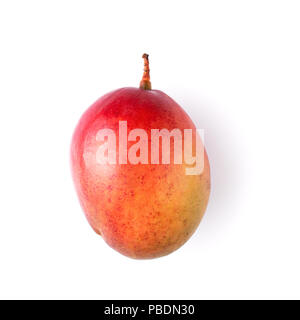 Ein ganzes Mangofrucht auf Weiß isoliert. Minimale gestaltete Komposition. Stockfoto