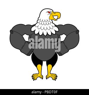 Weißkopfseeadler stark. Predator Vogel. Vector Illustration Stock Vektor