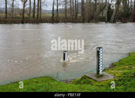 Messung der Beiträge an den Ufern des Flusses Aveyron während eines Winters Flut im mittelalterlichen Dorf von Varen, Tarn-et-Garonne, Royal, Frankreich Stockfoto