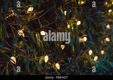 Bournemouth, UK. 27. Juli 2018. Die Menschen genießen das Leben bluegrass und Country Musik, Bier und Essen an der Bier- und Bluegrass Festival in Bournemouth. Quelle: Thomas Faull/Alamy leben Nachrichten Stockfoto