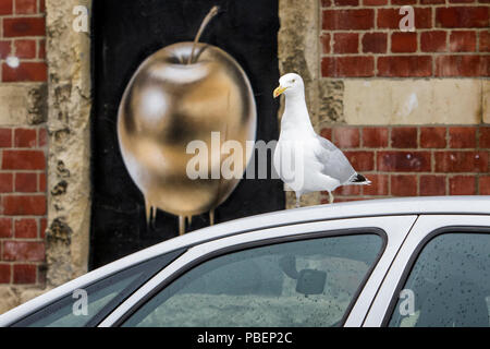 Bristol, UK. 28. Juli 2018. Eine Möwe wird dargestellt, wie sie auf dem Dach Auto vor einem goldenen Apfel und Grafiken für das Upfest Festival in North Street in Bedminster erstellt. Upfest, der findet über drei Tage ist Europas größter freier, Street Art und Graffiti Festival und ist jetzt im zehnten Jahr. Credit: Lynchpics/Alamy leben Nachrichten Stockfoto