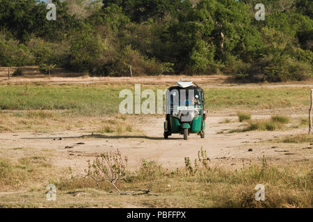 Tuk Tuk Taxi mit Surfboards Transporte Surfer die Wellen geladen durch Dschungel bei Peanut Farm Strand, Sri Lanka Stockfoto