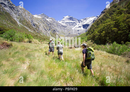 Aka Aotearoa Neuseeland, Südinsel, Mt Aspiring Nationalpark, eine Gruppe von Freunden Wandern im Tal, mit malerischen Bergen. Model Released. Stockfoto