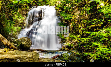 Whitecroft fällt, ein Wasserfall an McGillivray Creek und eine kurze Wanderung von Sun Peaks Road in der Nähe der Stadt Whitecroft in der Schuswaps in BC Kanada Stockfoto